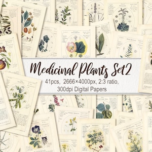 Plantes médicinales. TÉLÉCHARGEMENT NUMÉRIQUE. Botanicum Medicinale herbal botanique imprimable antique vintage vieilles illustrations feuilles art mural affiche