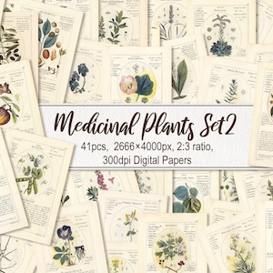 Medicinal Plants. DIGITAL DOWNLOAD. Botanicum Medicinale Herbal Botanical Printable Antique Vintage Old Illustrations Sheets Wall Art Poster