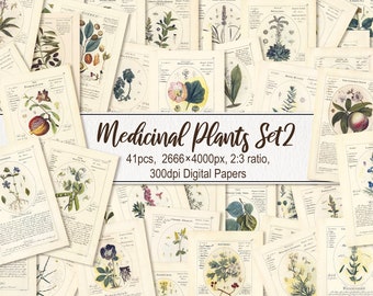 Medicinal Plants. DIGITAL DOWNLOAD. Botanicum Medicinale Herbal Botanical Printable Antique Vintage Old Illustrations Sheets Wall Art Poster