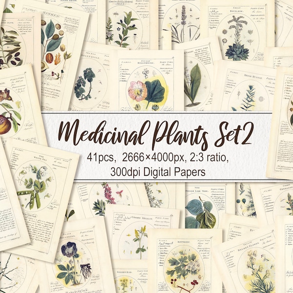 Medicinal Plants. DIGITAL DOWNLOAD. Botanicum Medicinale Herbal Botanical Printable Antique Vintage Old Illustrations Sheets Wall Art Poster