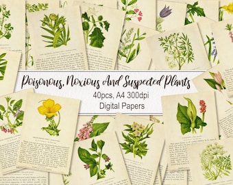 Poisonous Noxious Suspected Plants Flowers. DIGITAL DOWNLOAD. Printable Antique Vintage Old Illustrations Pages Paper Sheets Wall Art Poster