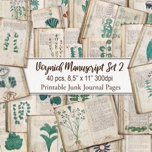 Manuscrito Voynich CONJUNTO 2 páginas de lixo eletrônico. Alquimia de Ervas. Antigo livro raro. DOWNLOAD DIGITAL. Uso comercial. Álbum de recortes, diário indesejado