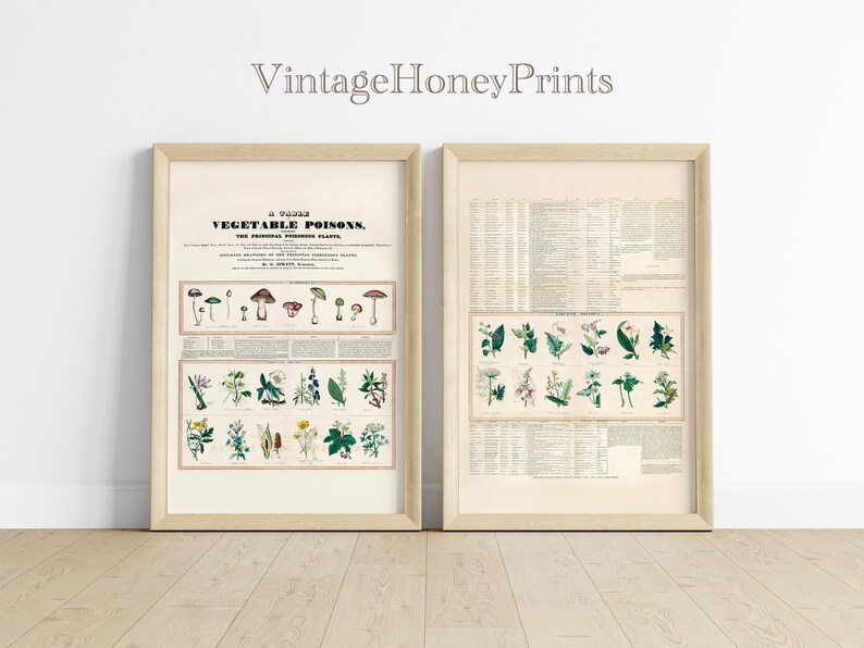 Vintage Poisons Poster. DIGITAL DOWNLOAD. Poisonous Plants Mushrooms ...