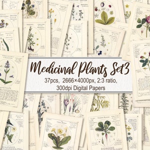 Plantes médicinales. TÉLÉCHARGEMENT NUMÉRIQUE. Botanicum Medicinale herbal botanique imprimable antique vintage vieilles illustrations feuilles art mural affiche
