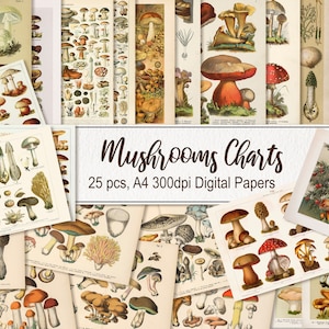 Eetbare giftige paddestoelen grafieken pagina's papier Wall Art Poster. DIGITAAL DOWNLOADEN. Afdrukbare vintage oude illustraties. Junk Journal-plakboek