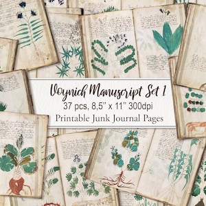 Voynich Manuscript SET 1 Junk Journal Pages. Herbal Alchemy. Old Rare Book. DIGITAL DOWNLOAD.  Commercial Use. Scrapbook, Junk Journal