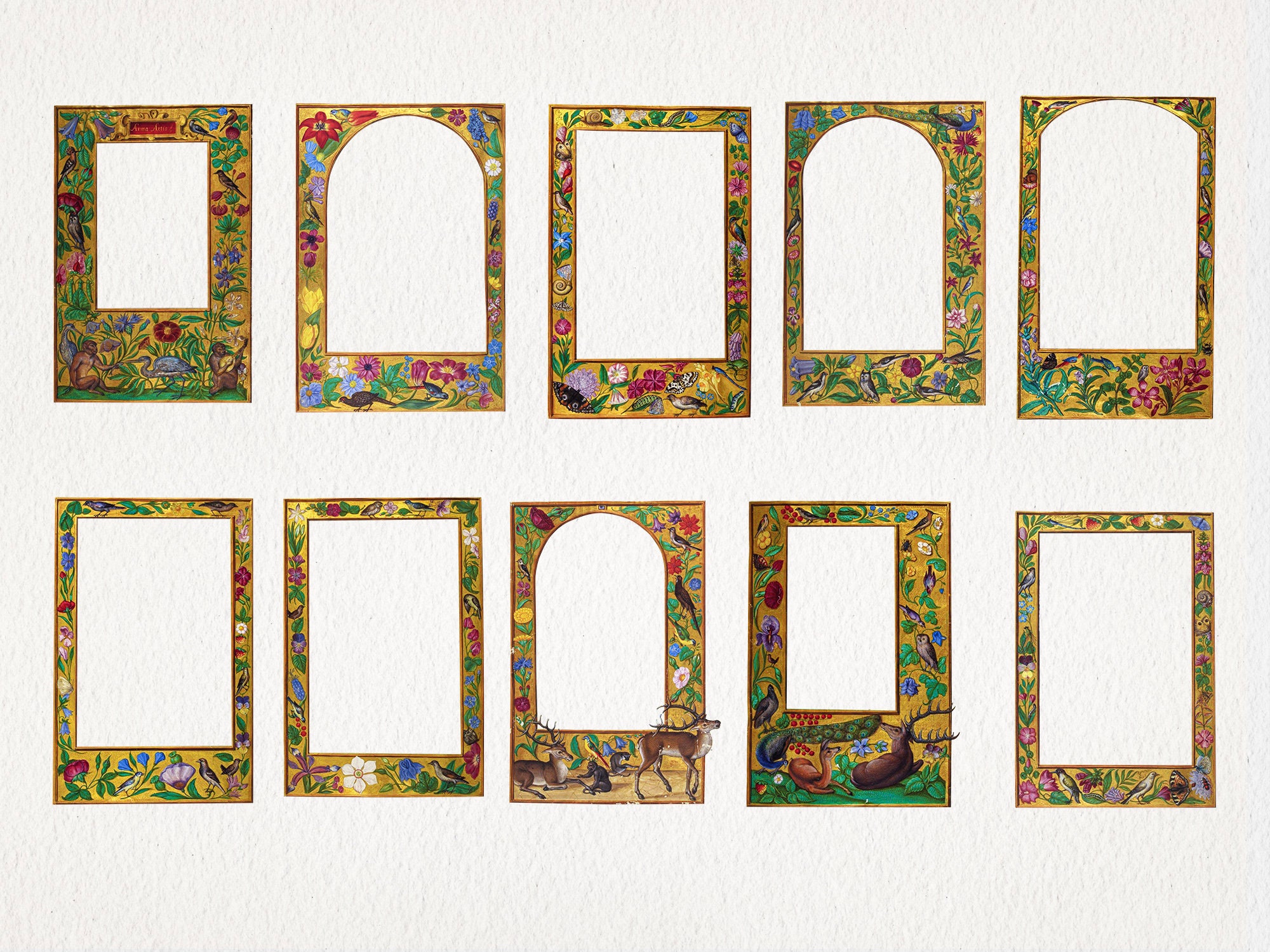 Medieval Illuminated Frames PNG Files. DIGITAL DOWNLOAD. Antique ...