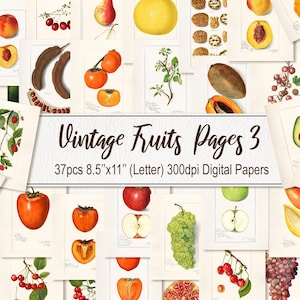 Illustrazione dell'alimento di frutta. DOWNLOAD DIGITALE. Poster da parete con illustrazioni antiche vintage stampabili, pagine e fogli di carta. CONFEZIONE DA 37