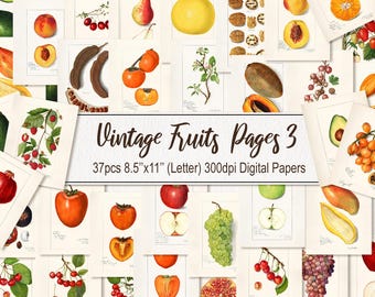 May include: A collection of 37 vintage fruit illustrations, each featuring a different type of fruit, such as apples, pears, grapes, and avocados. The illustrations are in a watercolor style and are set against a white background. The text "Vintage Fruits Pages 3" and "37pcs 8.5"x11" (Letter) 300dpi Digital Papers" is displayed at the bottom of the image.