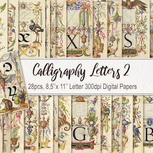 Kalligraphie Buchstaben Papiere Seiten. DIGITALER DOWNLOAD. Kommerzielle Nutzung Vintage Illustration. Sammelalbum Ephemera Junk Journal. 28er Pack