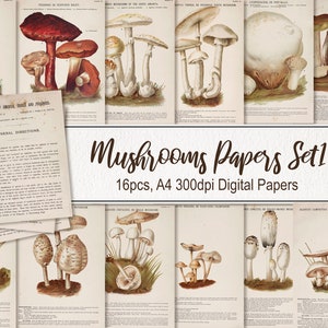 Mushrooms of America commestibile e velenoso Palmer Pages Poster da parete in carta. SCARICA DIGITALE. Illustrazioni vecchie d'epoca stampabili.