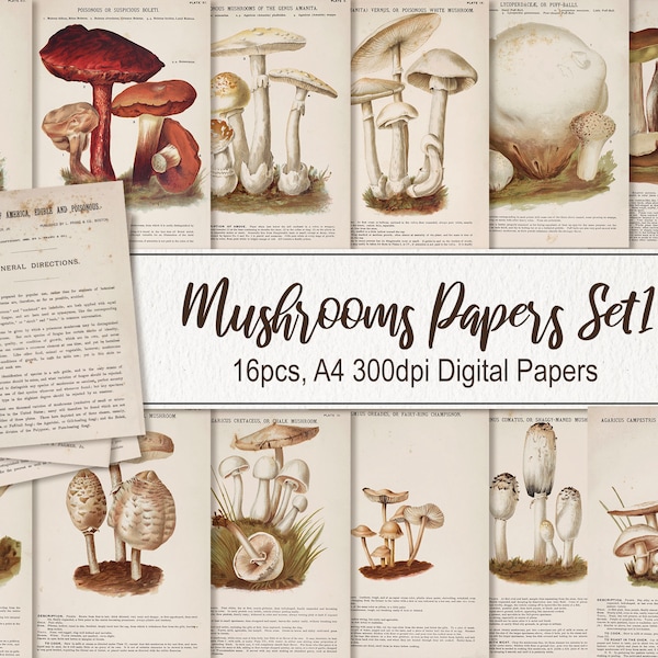 Mushrooms of America Edible and Poisonous Palmer Pages Paper Wall Art Poster. DIGITAL DOWNLOAD. Printable Vintage Old Illustrations.