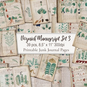 Manuscrito Voynich CONJUNTO 3 páginas de lixo eletrônico. Alquimia de Ervas. Antigo livro raro. DOWNLOAD DIGITAL. Uso comercial. Álbum de recortes, diário indesejado