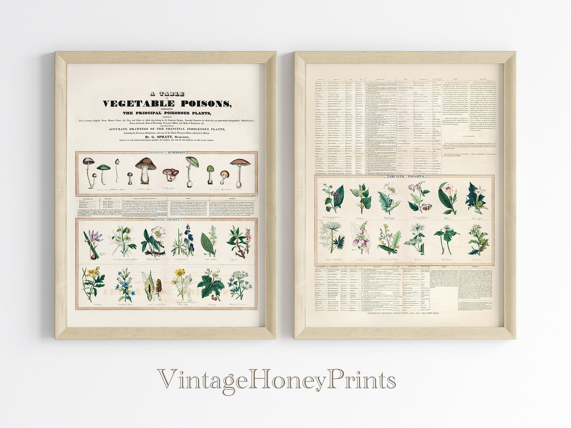 Vintage Poisons Poster. DIGITAL DOWNLOAD. Poisonous Plants Mushrooms ...