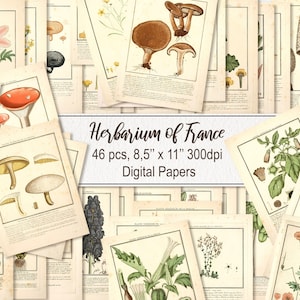 Fiori Funghi Piante Fiori Funghi. DOWNLOAD DIGITALE. Poster da parete con illustrazioni antiche vintage stampabili, pagine e fogli di carta