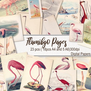 Puede incluir: Un paquete de papeles digitales con 23 imágenes de flamencos rosas en varias poses. Las imágenes son de estilo vintage y son perfectas para scrapbooking, creación de tarjetas y otros proyectos de manualidades.