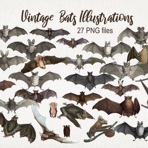 Vintage Bats Old Antique Illustration. CYFROWE POBIERANIE. Clipart zwierząt PNG. Użytek komercyjny. Halloween Witchy Scrapbooking Junk Journal.
