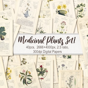 Piante medicinali. DOWNLOAD DIGITALE. Botanicum Medicinale Herbal Botanical Printable Antique Vintage Old Illustrations Sheets Wall Art Poster