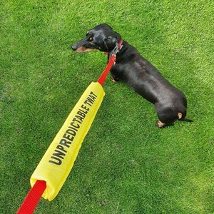 Dog lead sleeve, unpredictable twat. lead cover, lead wrap, lead slip image 1