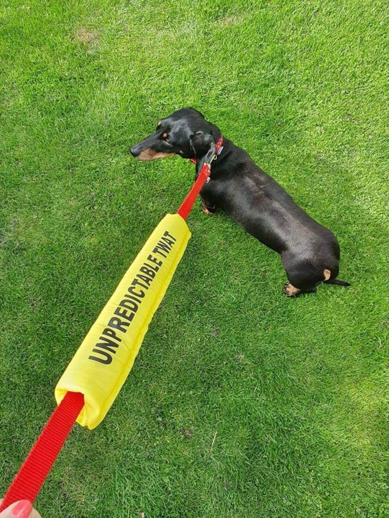 Dog lead sleeve, unpredictable twat. lead cover, lead wrap, lead slip image 1