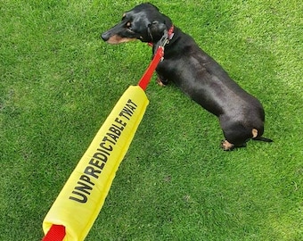 Dog lead sleeve, lead wrap, lead cover, lead slip. FUNNY, TWAT, DICKHEAD. knobhead, asshole, hyperactive,  multi listing
