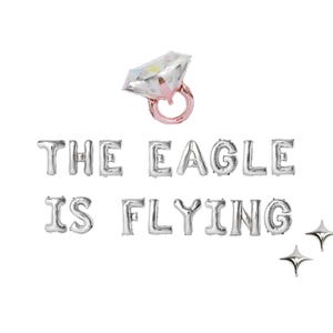 Princess Diaries Bachelorette Balloon Kit: Custom Letter Balloon Garland Party Decorations