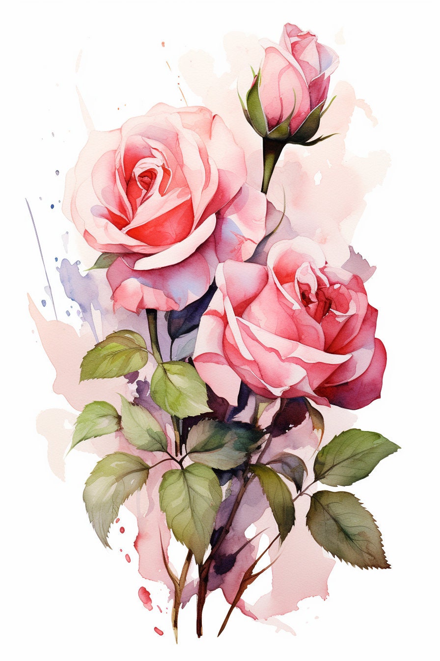 Pink Roses High Quality 24 Pink Roses High Quality PNG Images Transparent Background High ...
