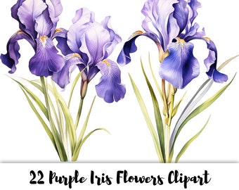 Purple Iris Flowers - 22 High Quality PNG Images - Transparent Background - High Resolution 300 DPI - For Commercial Use - Floral Clipart