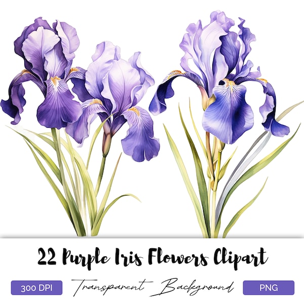 Purple Iris Flowers - 22 High Quality PNG Images - Transparent Background - High Resolution 300 DPI - For Commercial Use - Floral Clipart