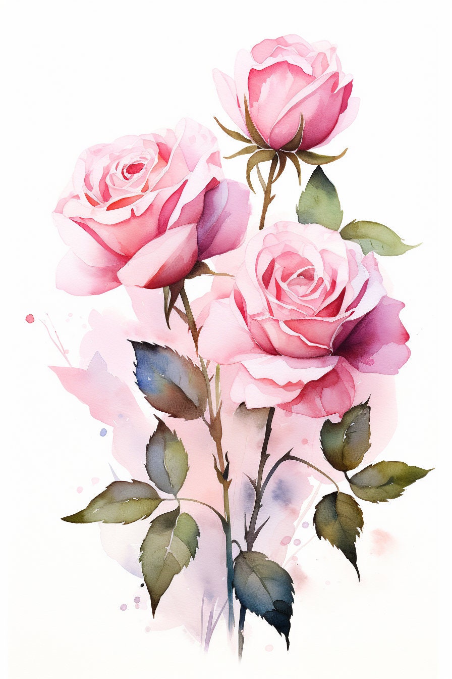 Pink Roses High Quality 24 Pink Roses - High Quality PNG Images - Transparent Background - High ...
