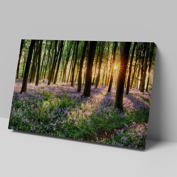 Forest Canvas, Sunrise Wall Art, Nature Print, Woods Decor, Forest Scene, Sunrise Canvas, Nature Wall Decor, Forest Sunrise Wall Decor