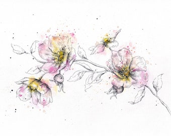Flower wall art digital | rose drawing | pink floral artwork | printable botanical print | pretty watercolour illustration gift roses art
