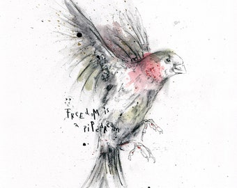Peut inclure: Une peinture à l'aquarelle d'un oiseau en vol avec le texte "Freedom is a pipedream" écrit à l'encre noire.