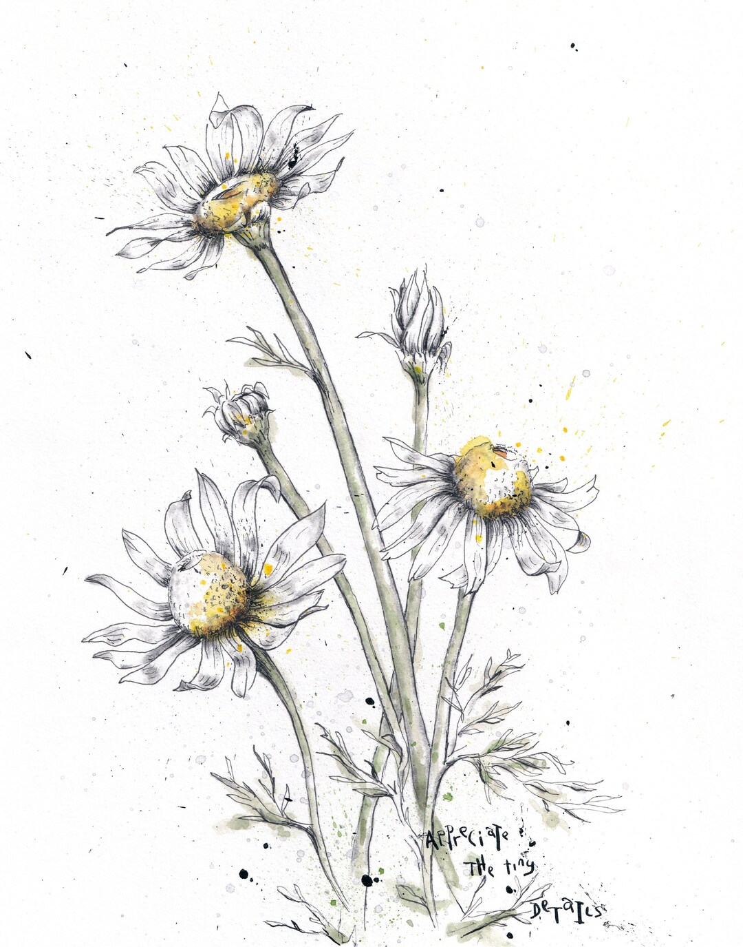 Flower Wall Art Decor Daisy Drawing Floral Artwork Printable Botanical