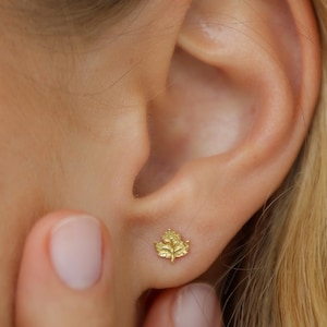 May include: A close-up of a gold-colored leaf-shaped stud earring. The earring is small and detailed, with visible veins and texture. The earring is worn on an ear. The image is well-lit and shows the earring's design.