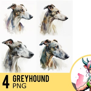 Greyhound aquarelle PNG clipart, lévrier chien Portrait PNG aquarelle, téléchargement immédiat, utilisation commerciale, quatre Images PNG distinctes, UD89