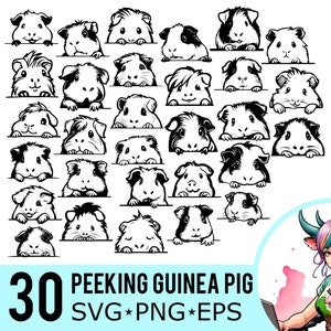 Clipart SVG di porcellino d&#39;India che sbircia: file di ritaglio del muso di porcellino d&#39;India, pacchetto da 30 (download digitale)