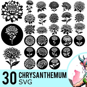 Chrysantheme SVG Clipart, Chrysanthemen Silhouette, November Mums Blume, Stauden, Schnittdatei, Sofort-Download, 30 SVG-Bundle-Vorlagen