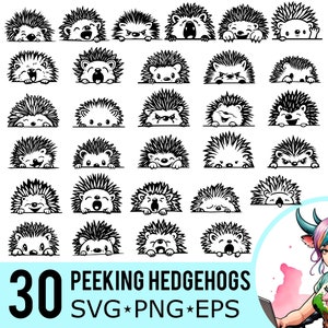 Peeking hérisson SVG PNG EPS Clipart, Silhouette de hérisson, modèle de visage de hérisson, fichiers de coupe vectorielle, téléchargement immédiat, 30 modèles de lot