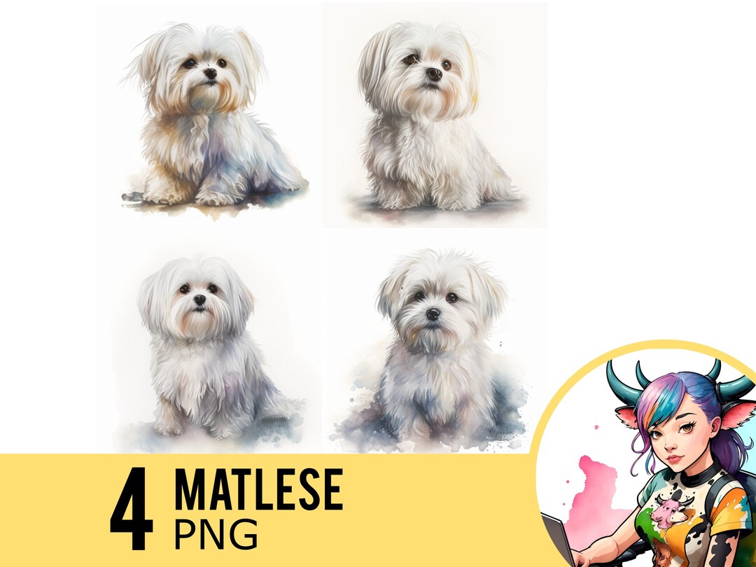 Maltese Dog Watercolor Portrait: 4 PNG Clipart Images (digital Download ...