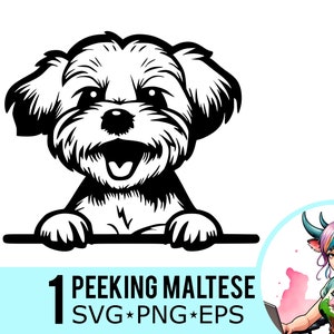 Coup d'oeil maltais SVG PNG EPS Clipart, visage maltais furtivement, modèle Portrait de chien mignon, fichier de coupe vectorielle, téléchargement immédiat, 1 modèle, 480