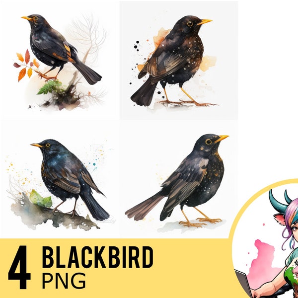 Blackbird Watercolor PNG clipart, Bird PNG Watercolour, Instant Download, Commercial Use, Four Separate PNG Images, UD111
