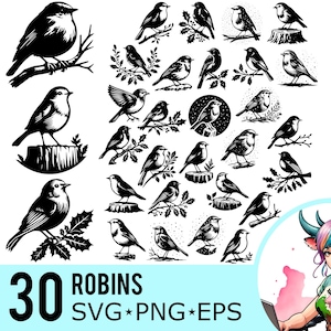 Rotkehlchen SVG PNG EPS Clipart, Vögel Silhouette, Weihnachten Holly Zweig Vorlage, Schnee Rotkehlchen Schnittdateien, Sofortiger Download, 30 Bundle-Vorlagen