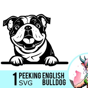 Gluren Engels Bulldog SVG clipart, Bulldog gezicht SVG, hond portret sjabloon, vector cut-bestand, Instant Download, 1 SVG-sjabloon, 476
