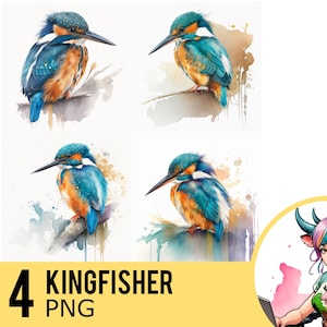 Kingfisher Aquarelle PNG clipart, Oiseau Portrait PNG Aquarelle, Téléchargement instantané, Utilisation commerciale, Quatre Image PNG distincte, UD226