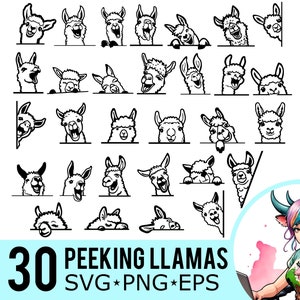Espiando lhama SVG PNG EPS clipart, silhueta de lhamas, modelo de rosto de lhama, arquivos de corte vetorial, download instantâneo, 30 modelos de pacote, 581
