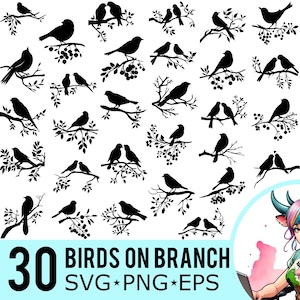 Oiseaux sur la branche SVG PNG EPS Clipart, Silhouette d'oiseaux d'amour, modèle oiseau branche d'arbre, fichiers coupés, téléchargement immédiat, 30 modèles de lot, 412