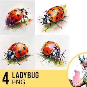 Lieveheersbeestje aquarel clipart: 4 png-afbeeldingen (commercieel gebruik)