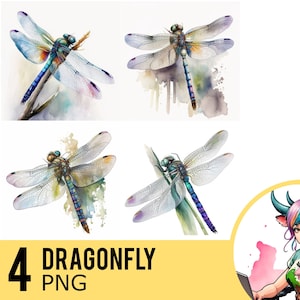 Clipart aquarel libel: 4 png-afbeeldingen (commercieel gebruik)