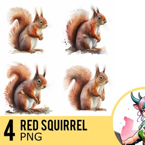Rouge écureuil aquarelle PNG clipart, écureuil PNG aquarelle, téléchargement immédiat, usage Commercial, quatre Images PNG distinctes, UD112